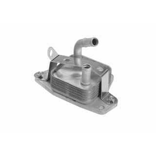 Alyvos aušintuvas, variklio alyva ACKOJA A70-60-0006