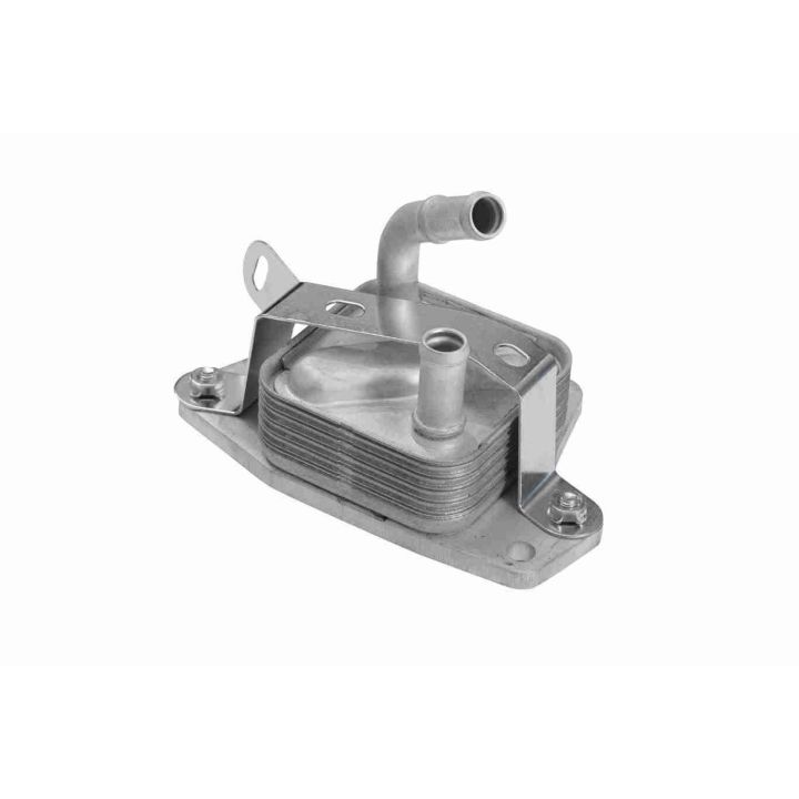 Alyvos aušintuvas, variklio alyva ACKOJA A70-60-0006