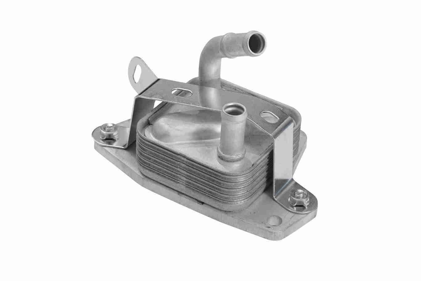 Alyvos aušintuvas, variklio alyva ACKOJA A70-60-0006