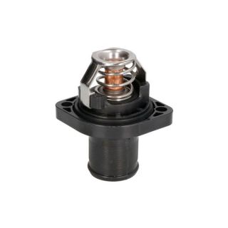 Termostatas, aušinimo skystis THERMOTEC D2C003TT
