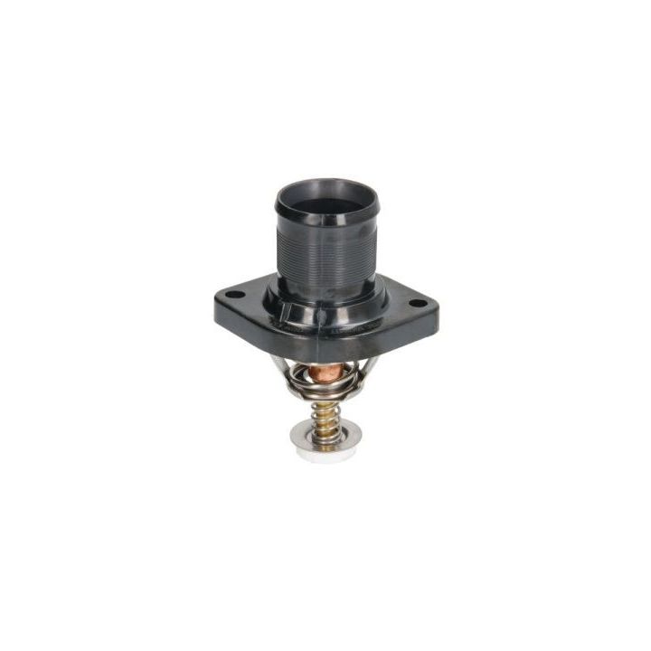 Termostatas, aušinimo skystis THERMOTEC D2C004TT