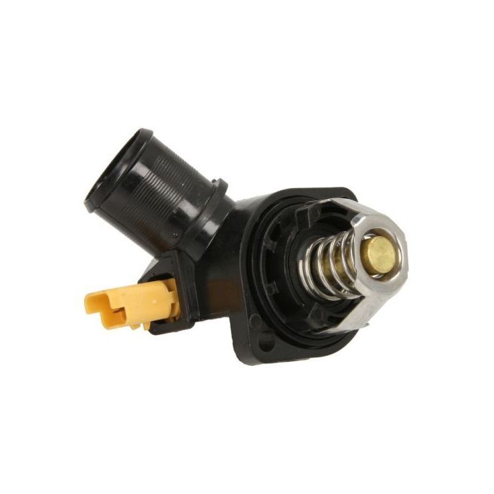 Termostatas, aušinimo skystis THERMOTEC D2C007TT