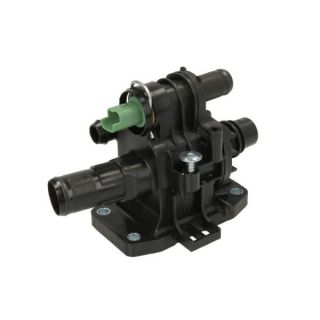 Termostatas, aušinimo skystis THERMOTEC D2C009TT