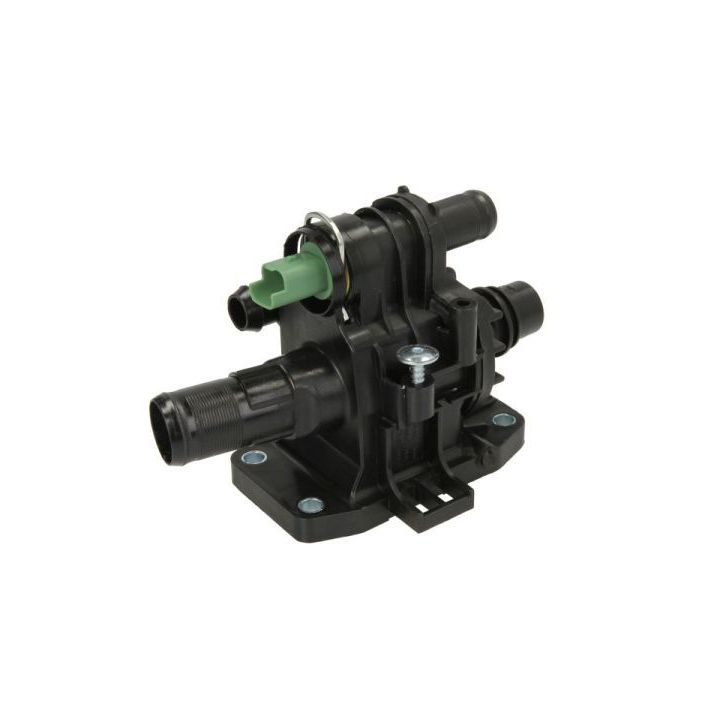 Termostatas, aušinimo skystis THERMOTEC D2C009TT