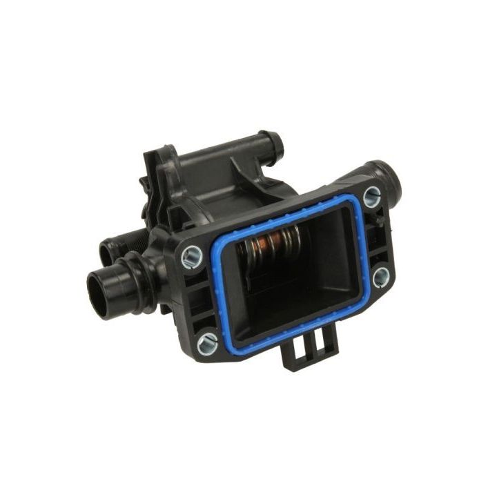 Termostatas, aušinimo skystis THERMOTEC D2C009TT