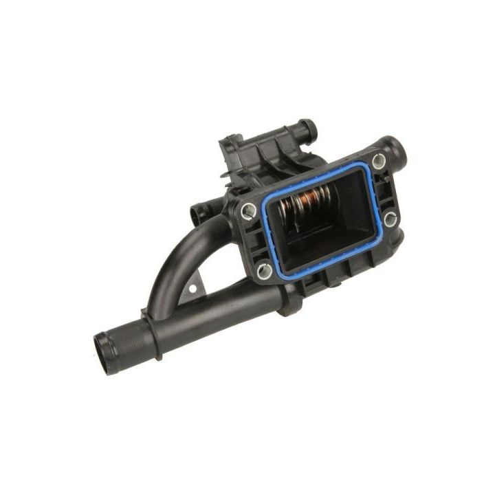 Termostatas, aušinimo skystis THERMOTEC D2C011TT