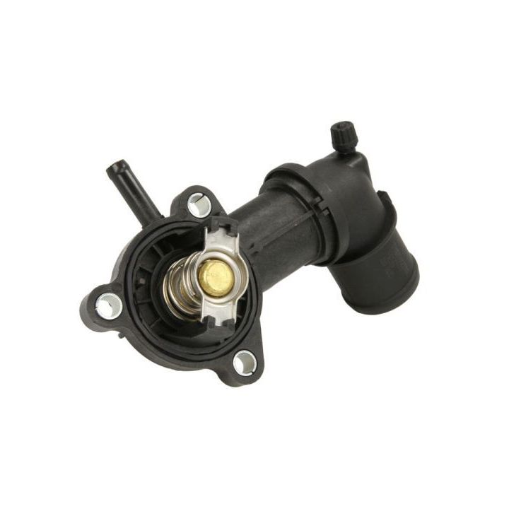 Termostatas, aušinimo skystis THERMOTEC D2D003TT