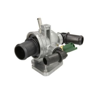 Termostatas, aušinimo skystis THERMOTEC D2F007TT