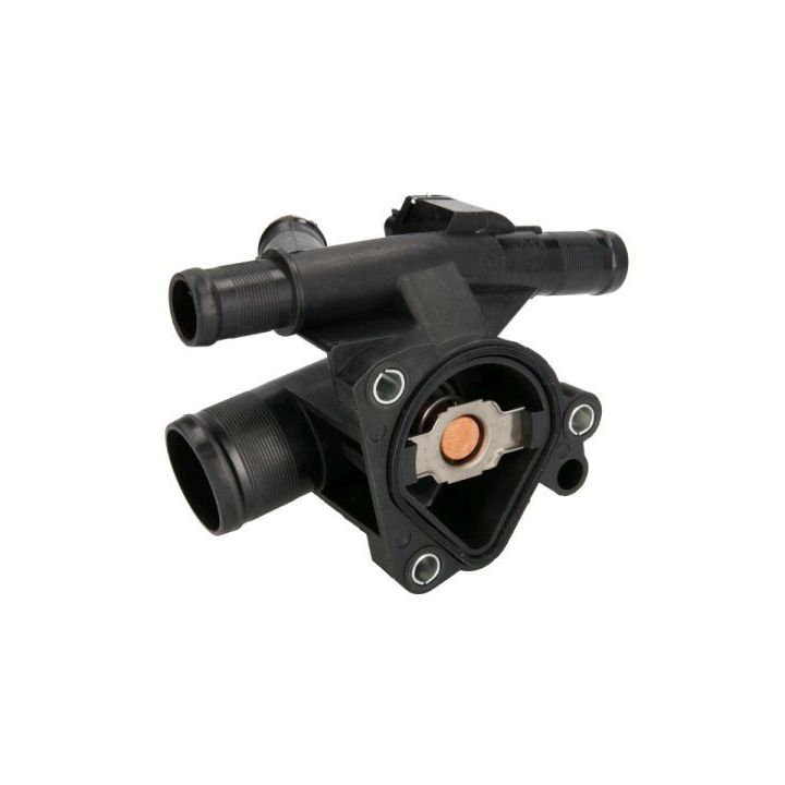 Termostatas, aušinimo skystis THERMOTEC D2R010TT