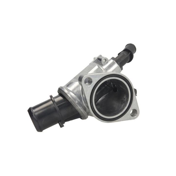 Termostatas, aušinimo skystis THERMOTEC D2X014TT