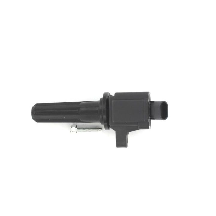 Ritė, uždegimas LUCAS DMB2026