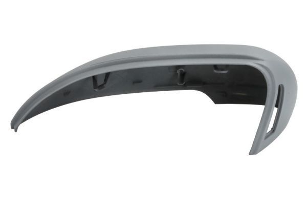 Dangtelis, išorinis veidrodėlis BLIC 6103-01-1585310P