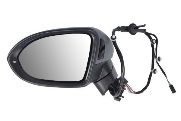 Išorinis veidrodėlis BLIC 5402-01-1585312P