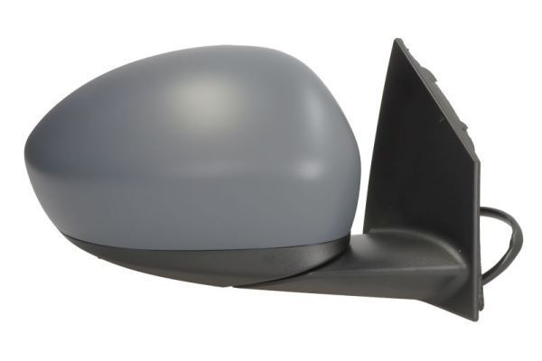 Išorinis veidrodėlis BLIC 5402-07-2590311P