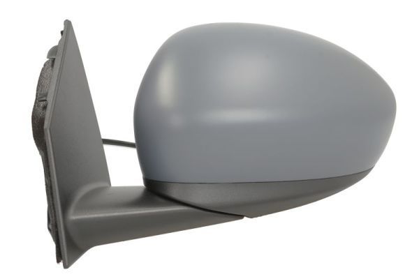 Išorinis veidrodėlis BLIC 5402-07-2590312P