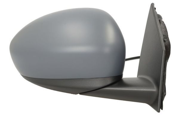 Išorinis veidrodėlis BLIC 5402-07-2590313P