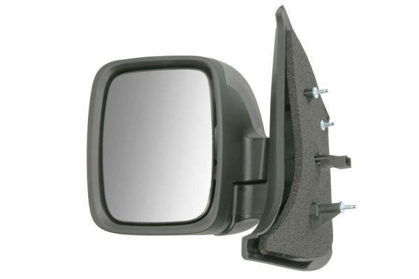 Išorinis veidrodėlis BLIC 5402-09-2476316P