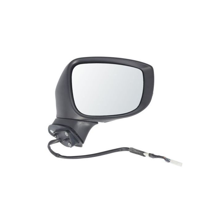 Išorinis veidrodėlis BLIC 5402-14-1906313P