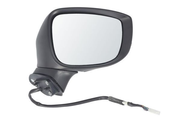 Išorinis veidrodėlis BLIC 5402-14-1906313P