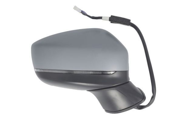 Išorinis veidrodėlis BLIC 5402-14-1906313P