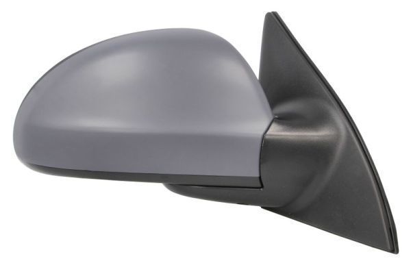 Išorinis veidrodėlis BLIC 5402-53-0636311P