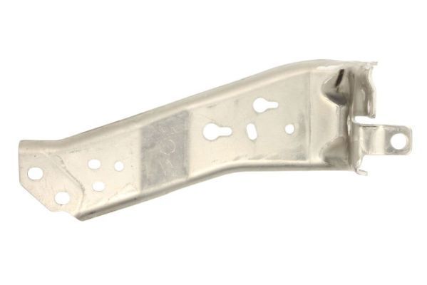 Priekinis variklio gaubtas BLIC 5502-00-4002945P