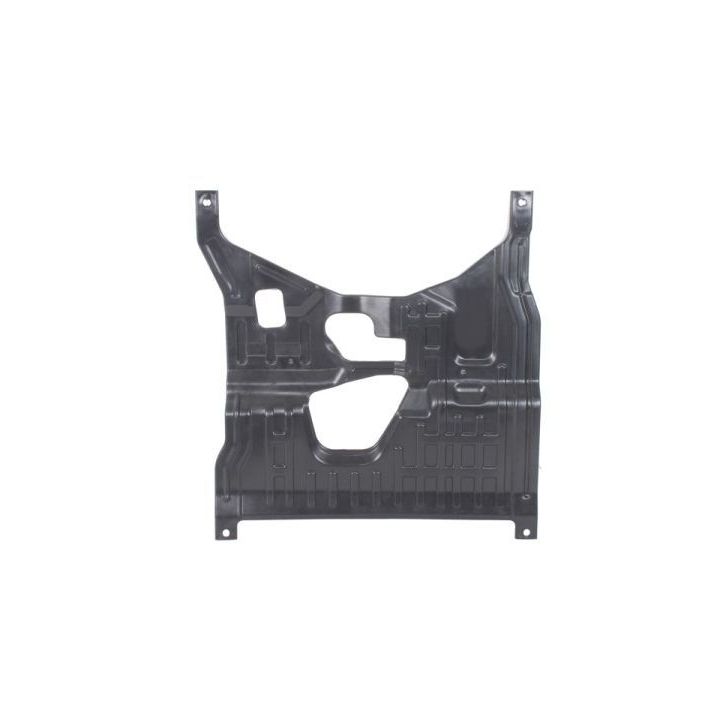 Variklio dangtis BLIC 6601-05-0000003Q