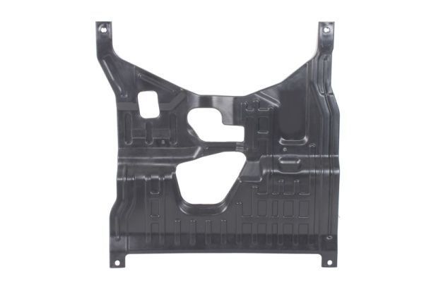 Variklio dangtis BLIC 6601-05-0000003Q