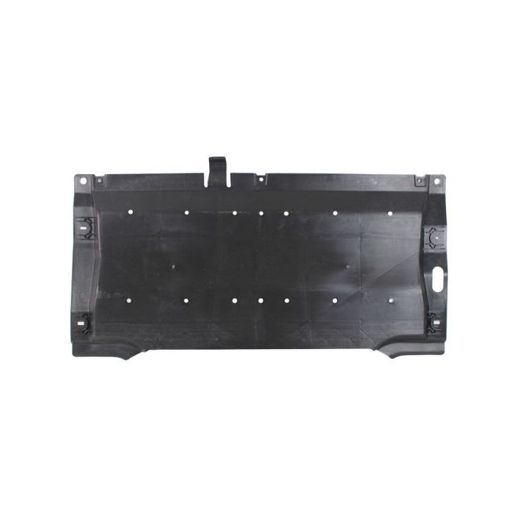 Variklio dangtis BLIC 6601-05-0000059Q