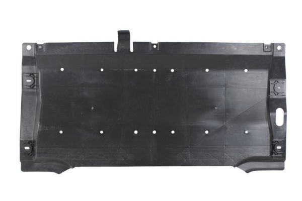 Variklio dangtis BLIC 6601-05-0000059Q