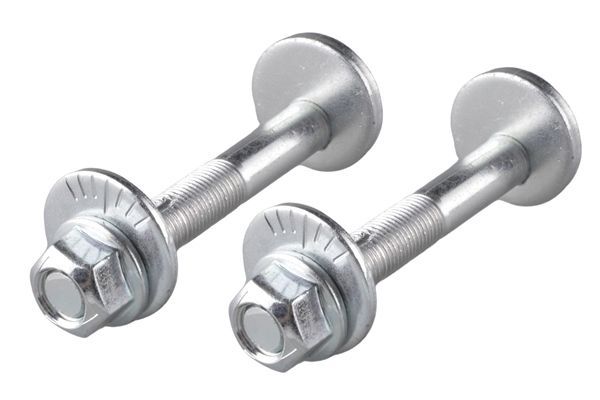 Išvirtimo reguliavimo varžtas TEDGUM TED24100