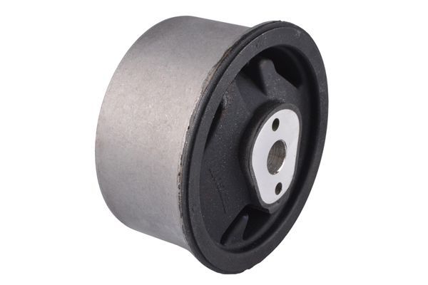 Variklio montavimas TEDGUM TED46652