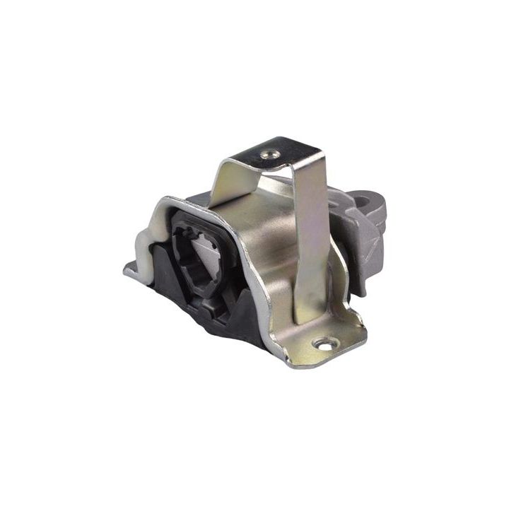 Variklio montavimas TEDGUM TED99115