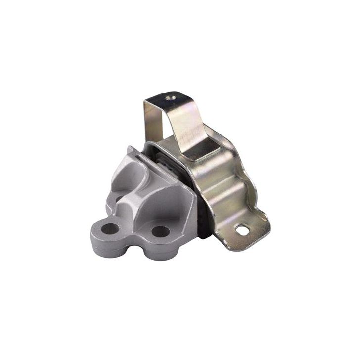 Variklio montavimas TEDGUM TED99115