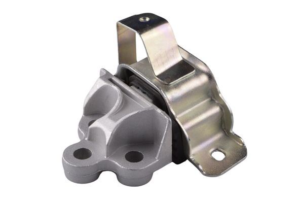 Variklio montavimas TEDGUM TED99115