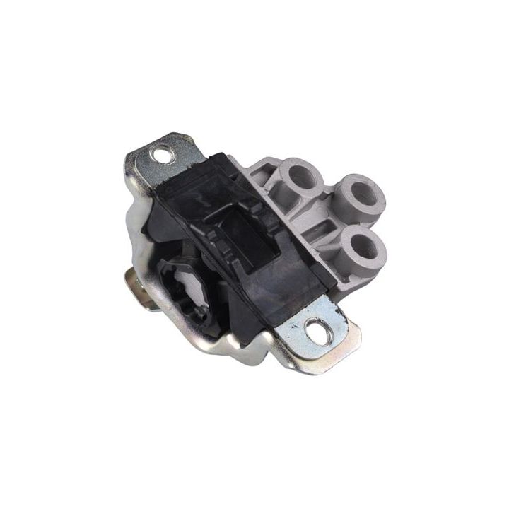 Variklio montavimas TEDGUM TED99115