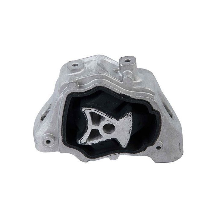 Variklio montavimas STELLOX 72-22322-SX