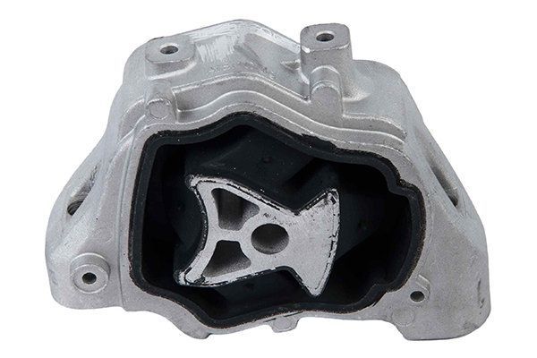 Variklio montavimas STELLOX 72-22322-SX