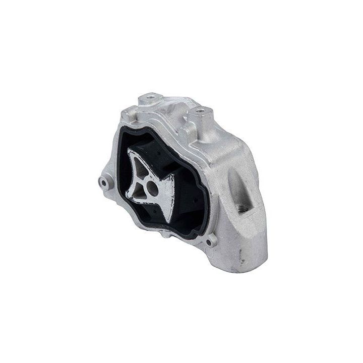 Variklio montavimas STELLOX 72-22322-SX