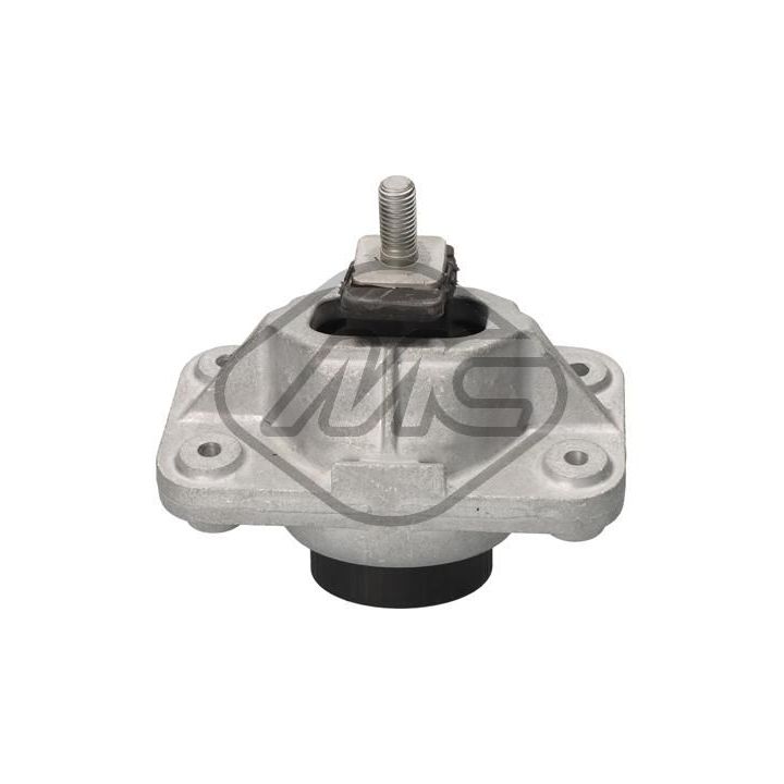 Variklio montavimas Metalcaucho 54840