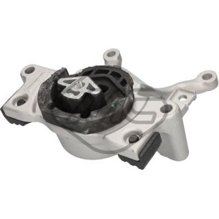 Montavimas, automatinė transmisija Metalcaucho 54857