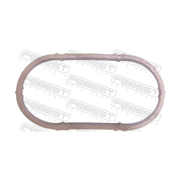 Tarpiklis, įsiurbimo kolektorius FEBEST 24402-005