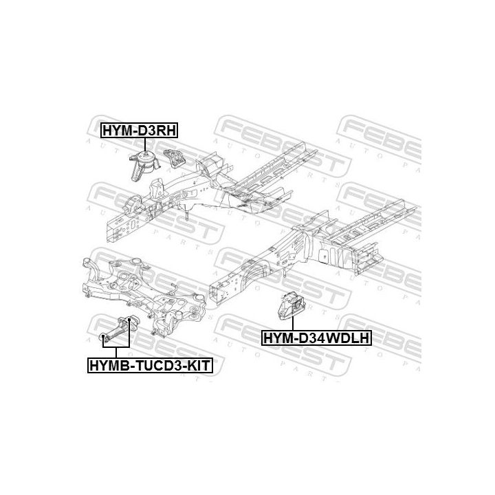 Variklio montavimas FEBEST HYM-D34WDLH