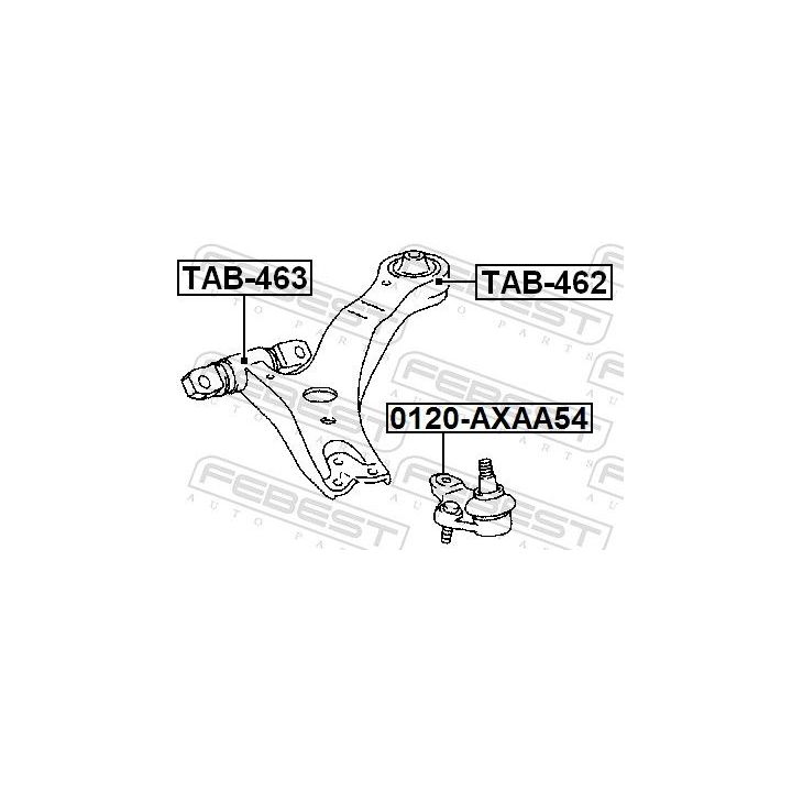 Šarnyras / girgždukas FEBEST 0120-AXAA54