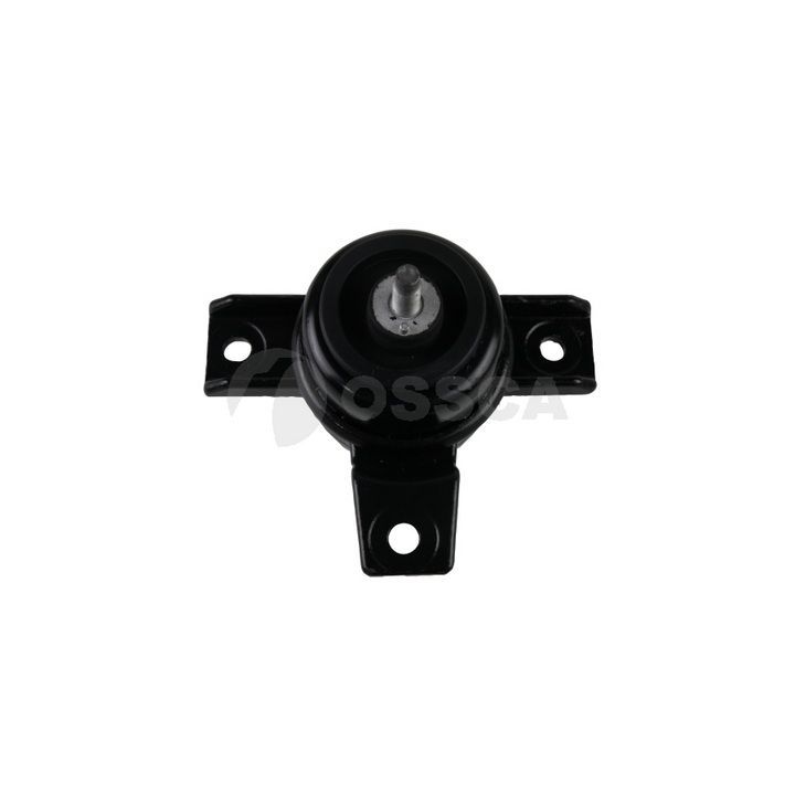 Variklio montavimas OSSCA 62643