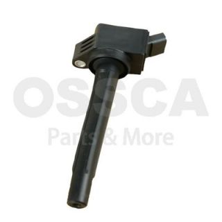 Ritė, uždegimas OSSCA 69039