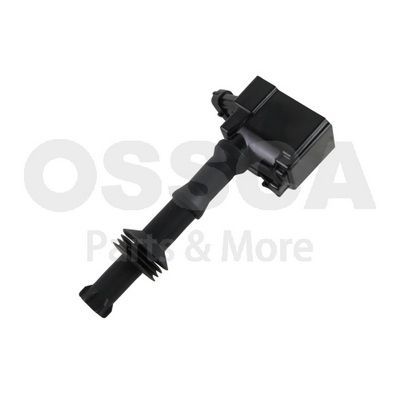 Ritė, uždegimas OSSCA 79192