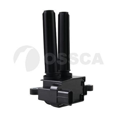 Ritė, uždegimas OSSCA 86521