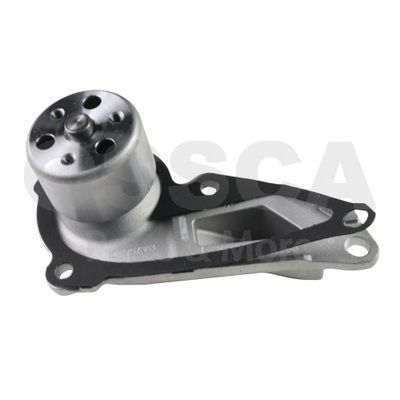 Vandens siurblys, variklio aušinimas OSSCA 65455