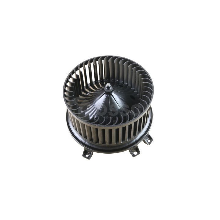 Vidaus pūtiklis OSSCA 83498